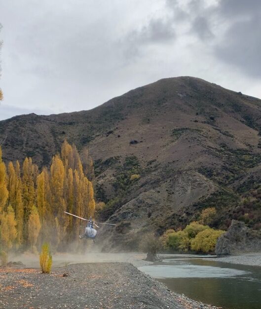 A helicopter landing at Quail Flat