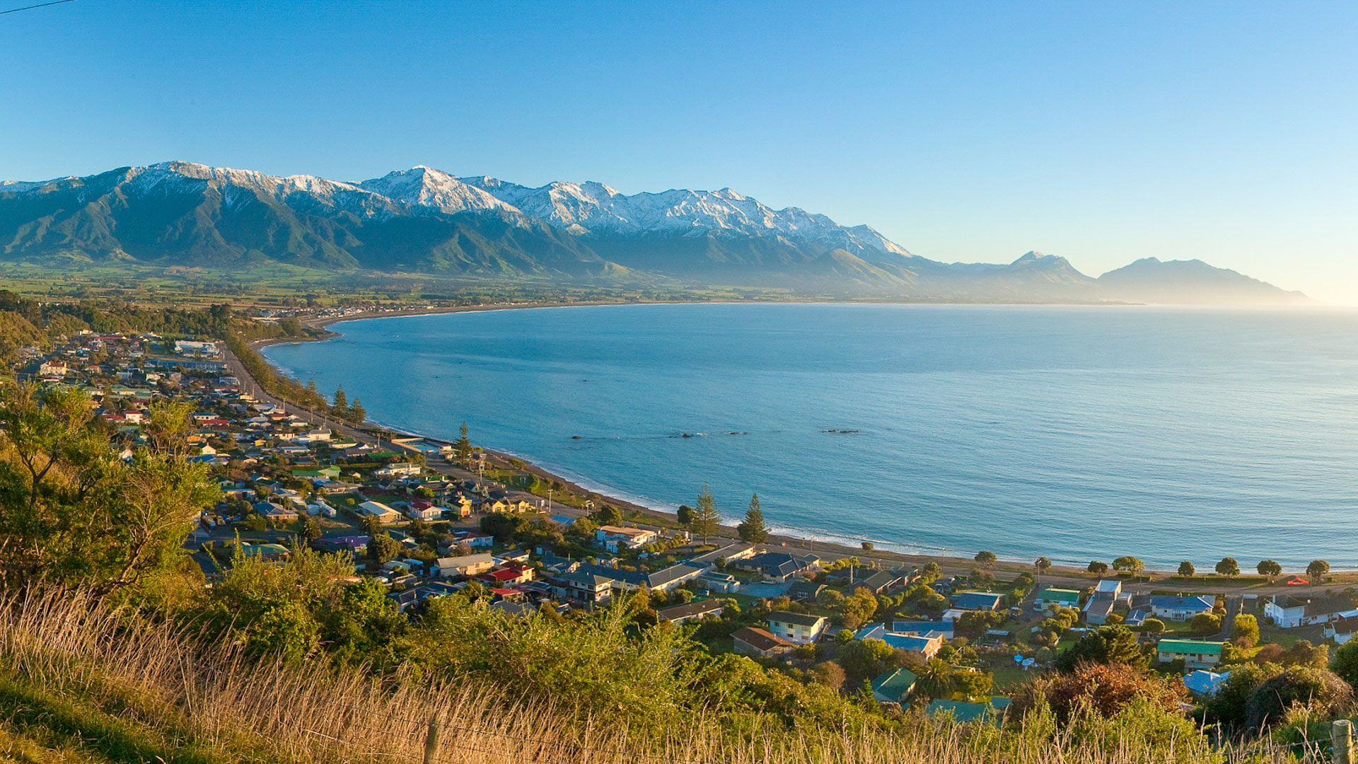 The Kaikoura coast where the mountains meet the sea