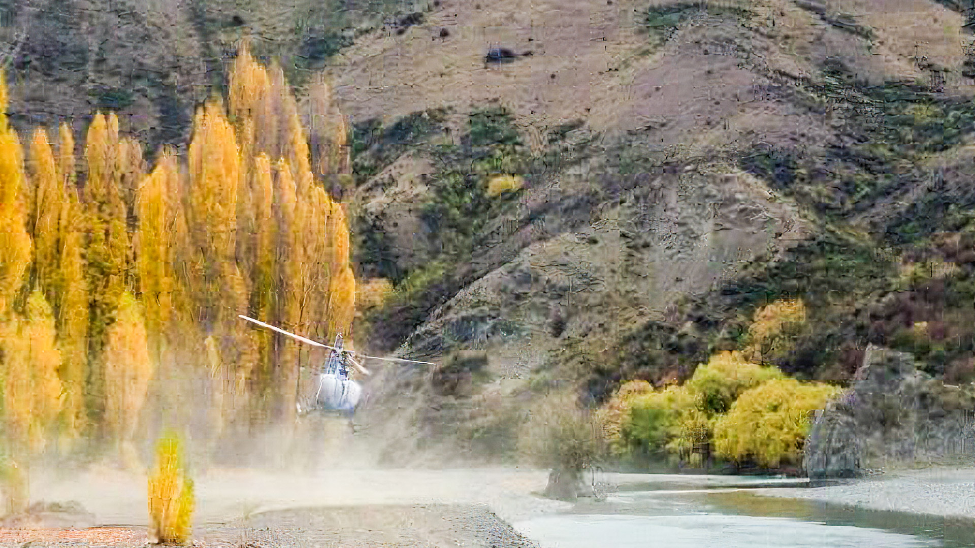 A helicopter landing at Quail Flat among autumn trees